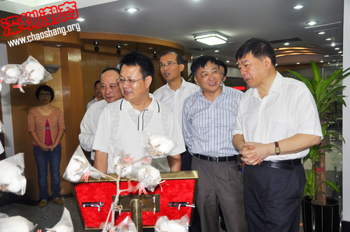 【创会会长单位】江苏省副省长徐鸣率队考察创世纪