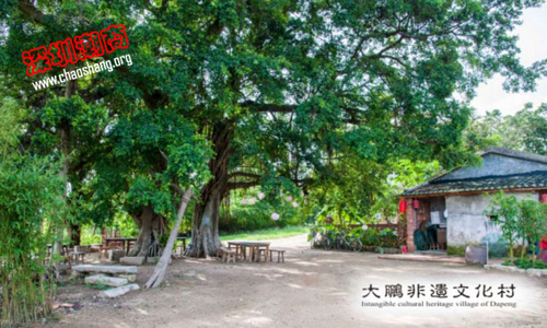 好阳光国旅正式挂牌大鹏非遗文化村