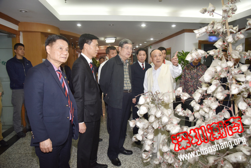 全国政协原副主席黄孟复莅临下载安装考察指导